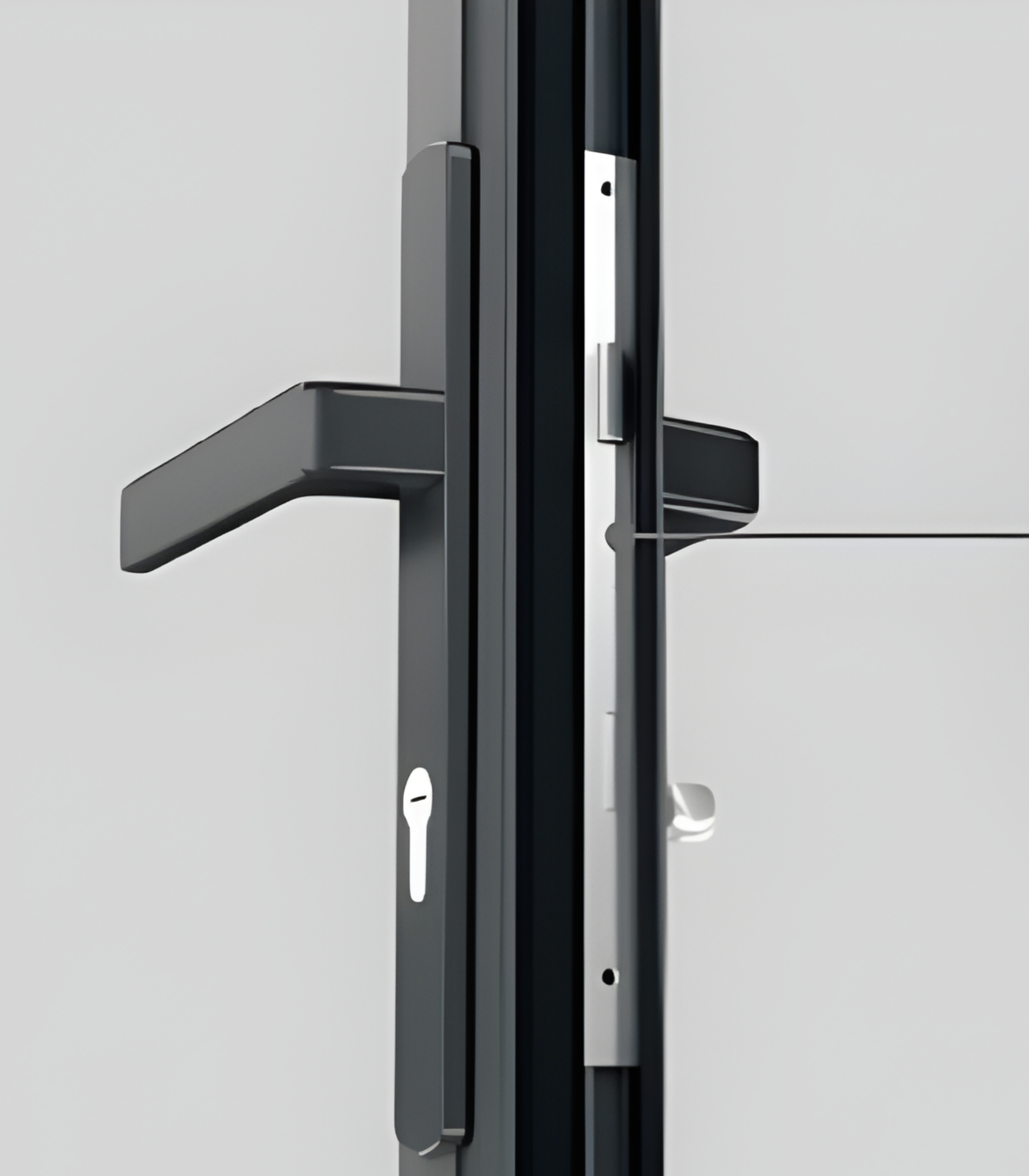 VLX 100 Swing / Entry Door in Dallas, TX | Meridian Windows and Doors Dallas - detail 5